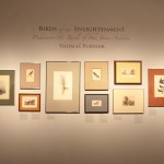 Title of the exhibition "Birds of the Enlightenment"