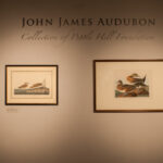Shot of two photographs with the title of the exhibition