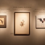 Frontal shot of all three exhibitions with their titles