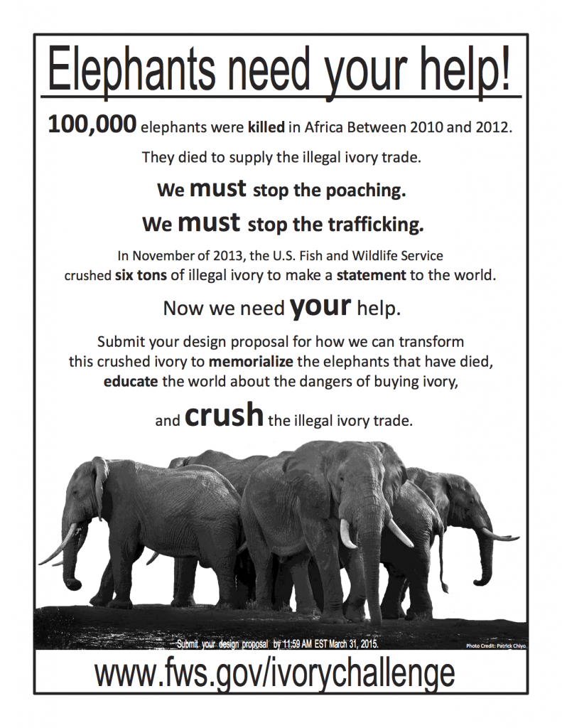 crushed-ivory-design-poster