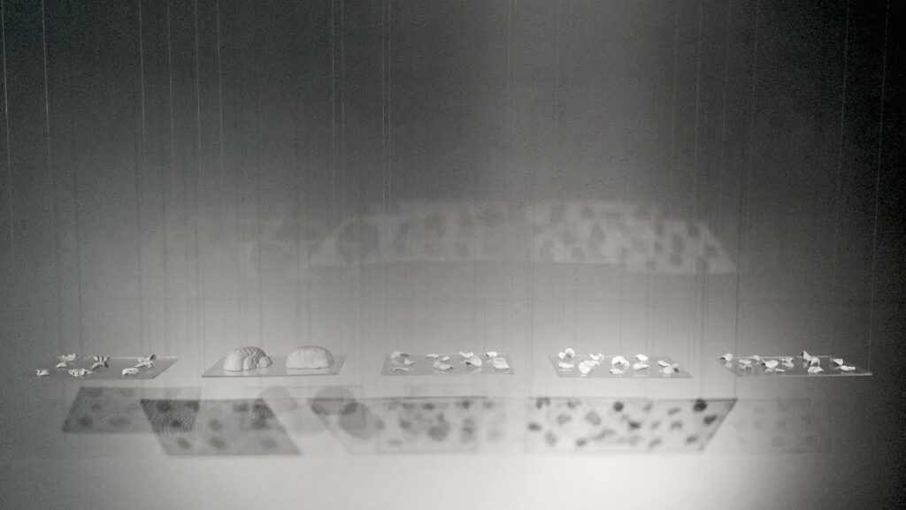 5-click-unnamed-contemporary-ceramic-art