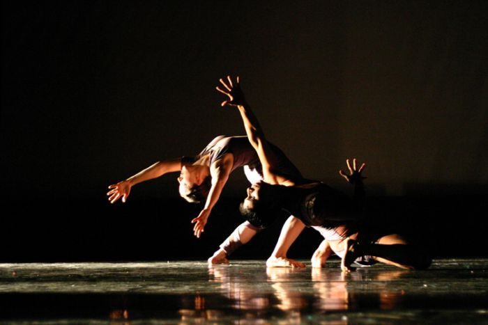 Callous Physical Theatre produces art based on human movement. Supplied: Callous Physical Theatre