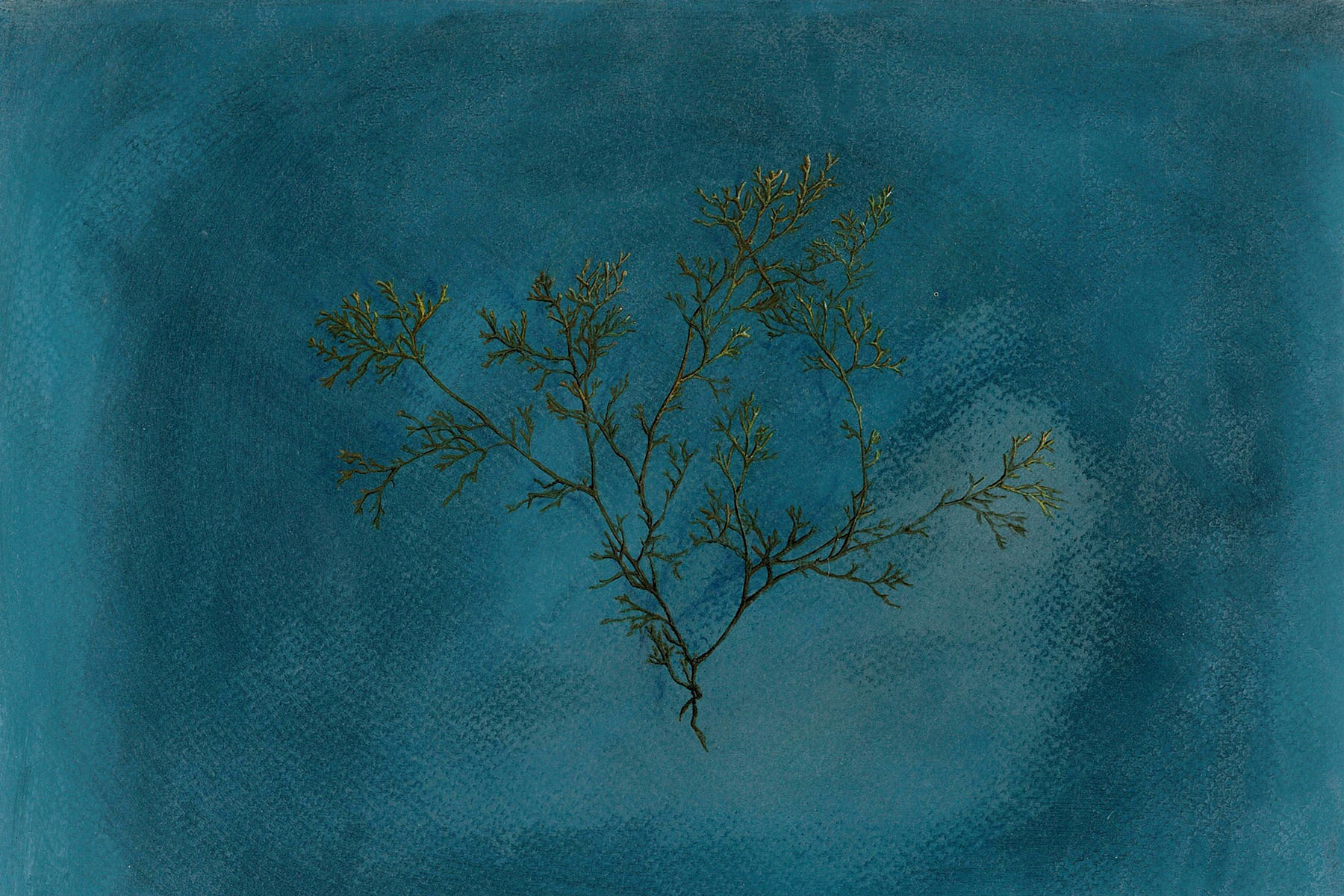 A piece of artwork features a plant painted over a rich blue background. 